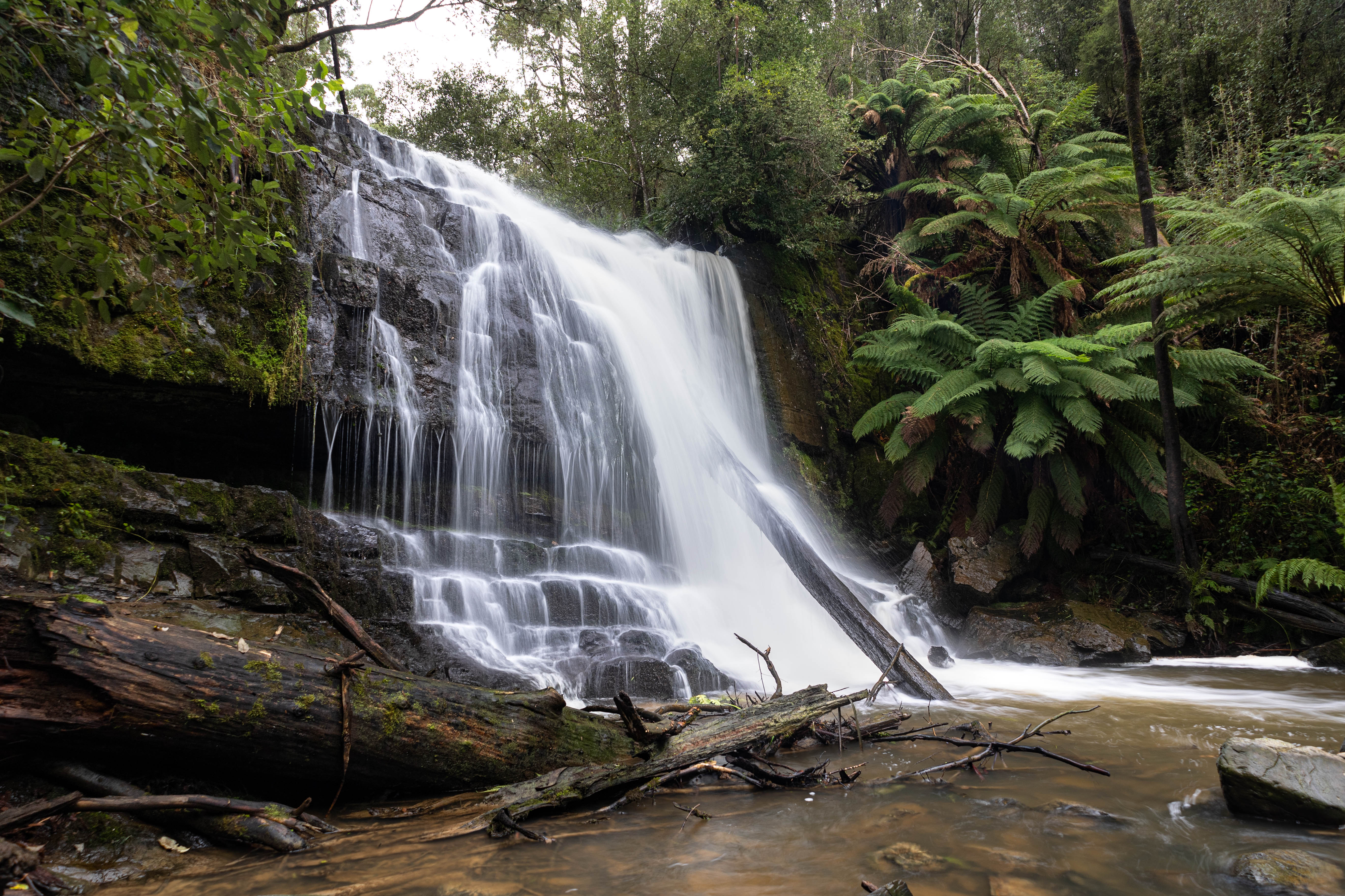 Lilydale Falls - lower waterfall