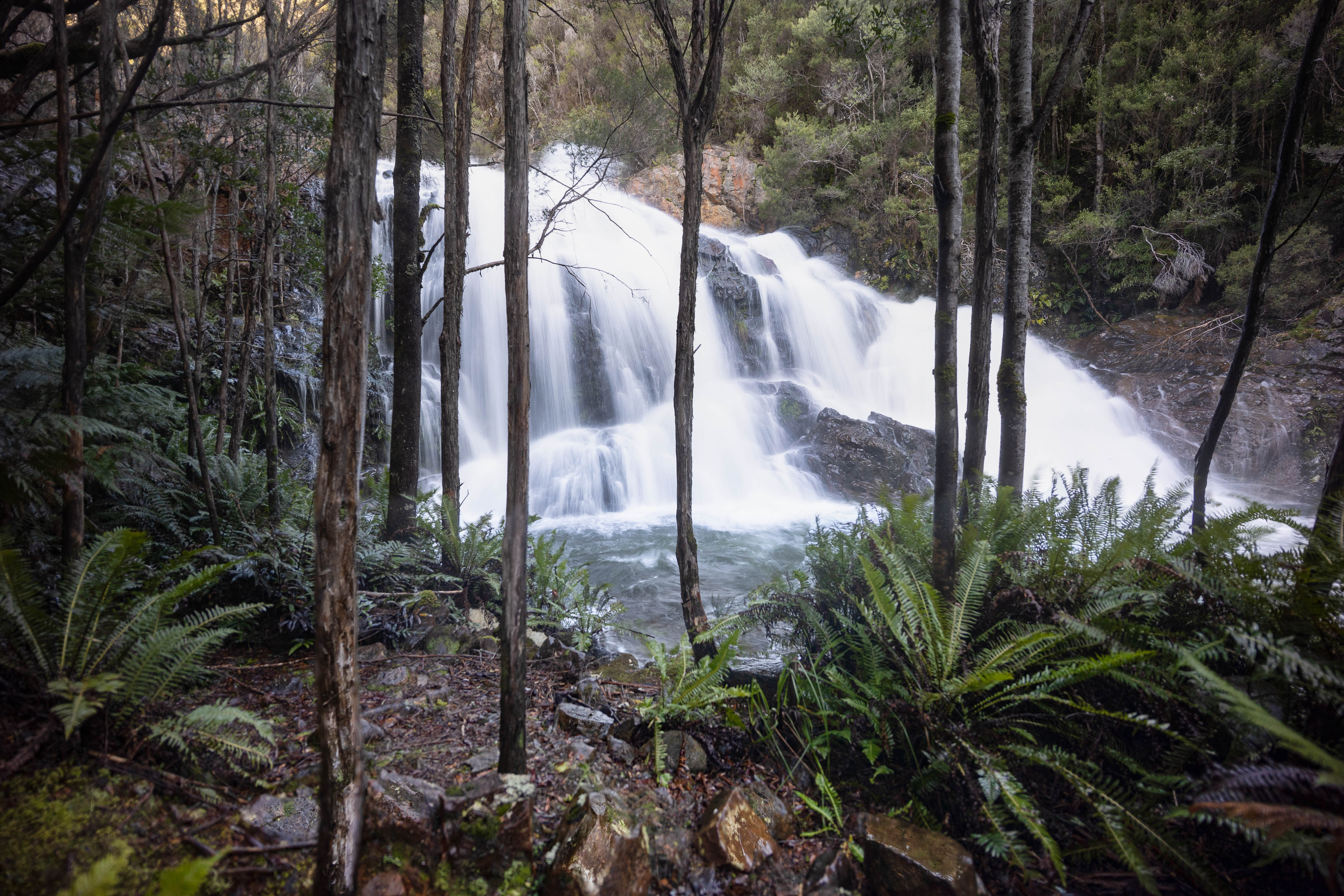 Ringtail Falls