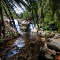 Halls Falls