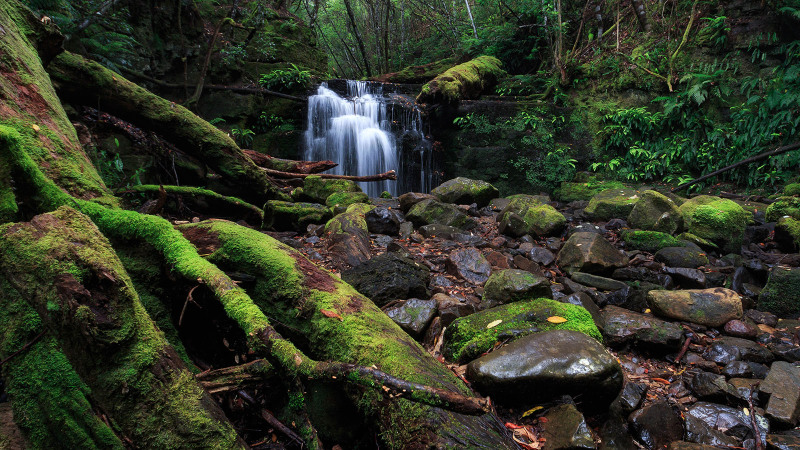 Strickland Falls