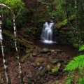 Strickland Falls