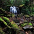 Strickland Falls