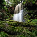 Fairy Falls