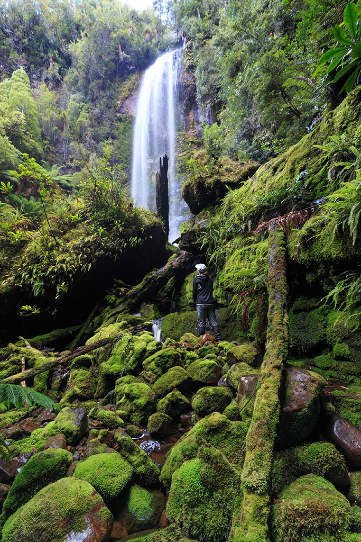 List of Waterfalls in Tasmania