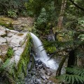 The Spout, also known as 'The Leap' or Albert Falls