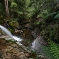The Spout