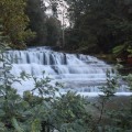 Alexandra Falls & Hopetoun Falls