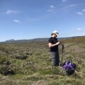 On the plains