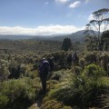 Hiking in the alpine wilderness