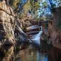 Upper Ironbark Falls (Constable Creek Falls)