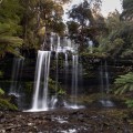 Russell Falls
