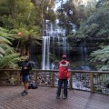 Visitors Delight