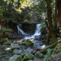 Horseshoe Falls