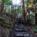 The steps leading to Horseshoe Falls