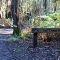 Signage to the Tall Trees