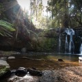 Sunburst at Lilydale Falls