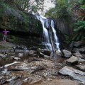 Enjoying Lilydale Falls