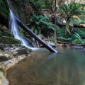 Lilydale Falls (1st waterfall)