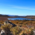 Pine Lake
