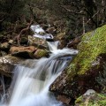 one of the many small waterfalls on Burnies Creek