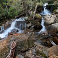 Delightful Cascades