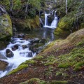 Just above Chasm Falls