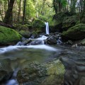 Lower Chasm Falls