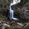 Upper Liffey Falls