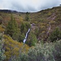 Upper Liffey Falls