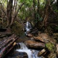 Upper Crater Falls