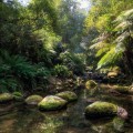 The stunning Evercreech Rivulet