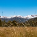 Mountainous views of Lees Paddocks