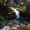 downstream from Ladder Falls