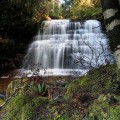 Upper tier of Ladder Falls