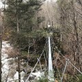 Crossing Jacksons Creek