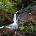 A small waterfall next to Westmoreland Falls