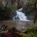 Forth Falls (a lower tier)