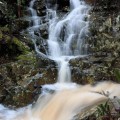 Downstream from Cashs Falls