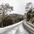 Winter Wonderland