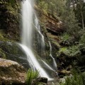Side on view of Marriotts Falls