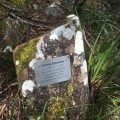 In memory of Norm Brown