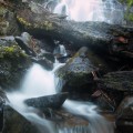 Upstream from the main falls