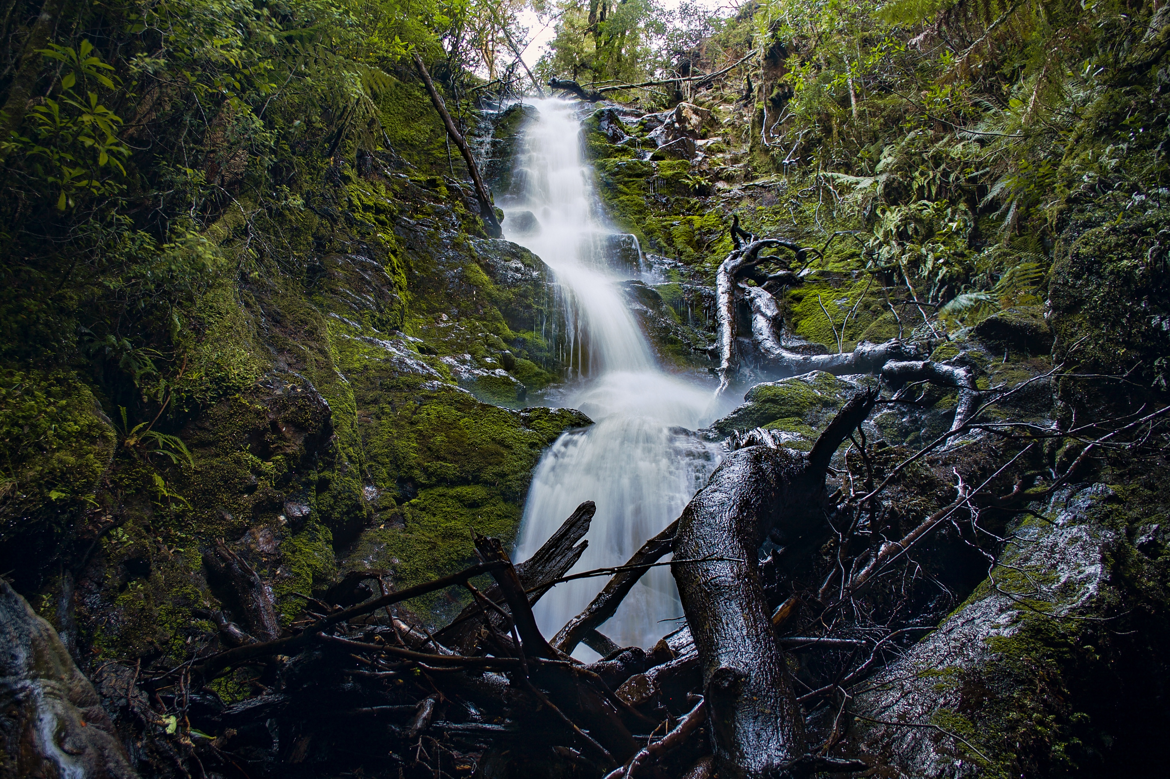 Svengali Falls