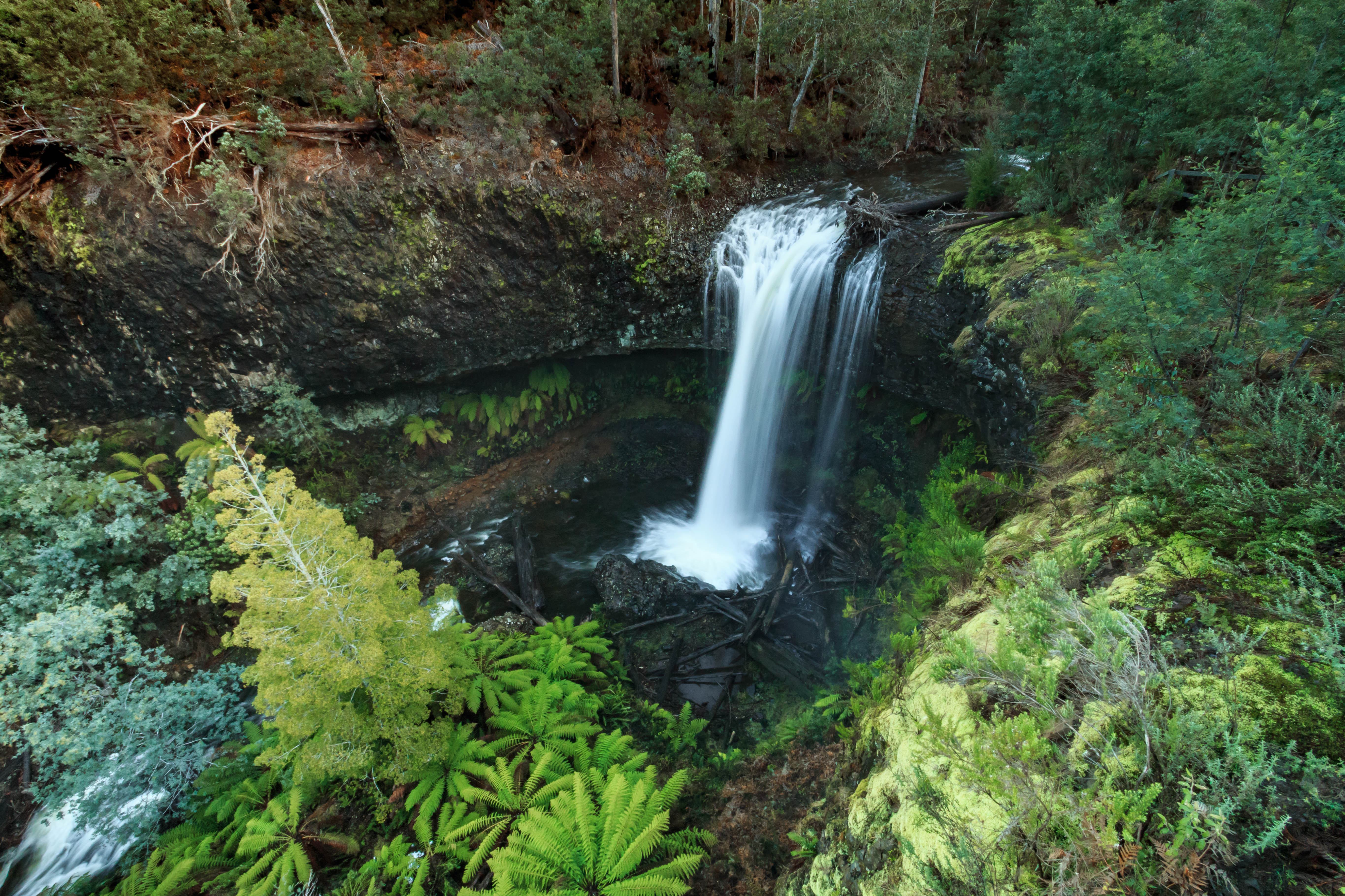 Wilsons Falls, also known as Tarraleah Falls