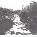 Travellers Rest Falls