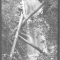 Upper Kermandie Falls