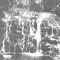 Princess Falls, Lynchford