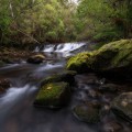 Bull Creek