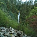 Willies Falls from the distance