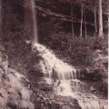 Flora Falls